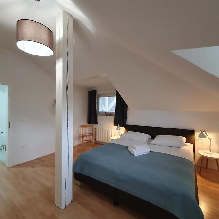 Charming Apartment Mila In Privat House With Free Parking Любляна Экстерьер фото