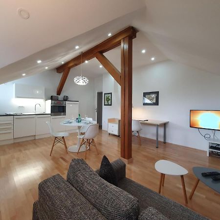 Charming Apartment Mila In Privat House With Free Parking Любляна Экстерьер фото