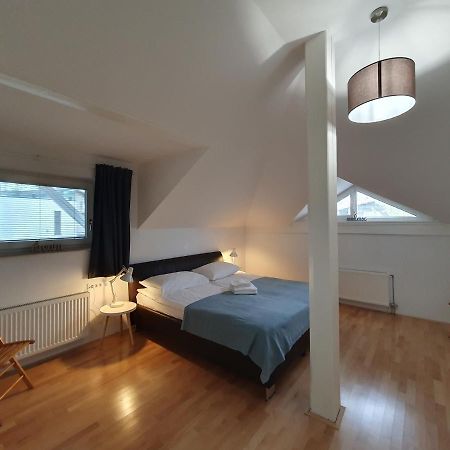 Charming Apartment Mila In Privat House With Free Parking Любляна Экстерьер фото
