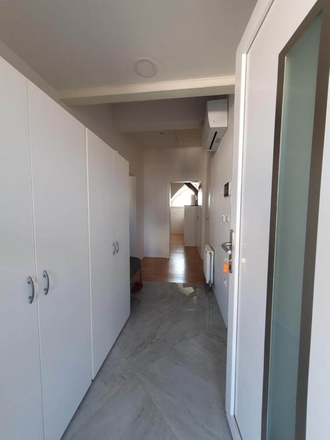 Charming Apartment Mila In Privat House With Free Parking Любляна Экстерьер фото
