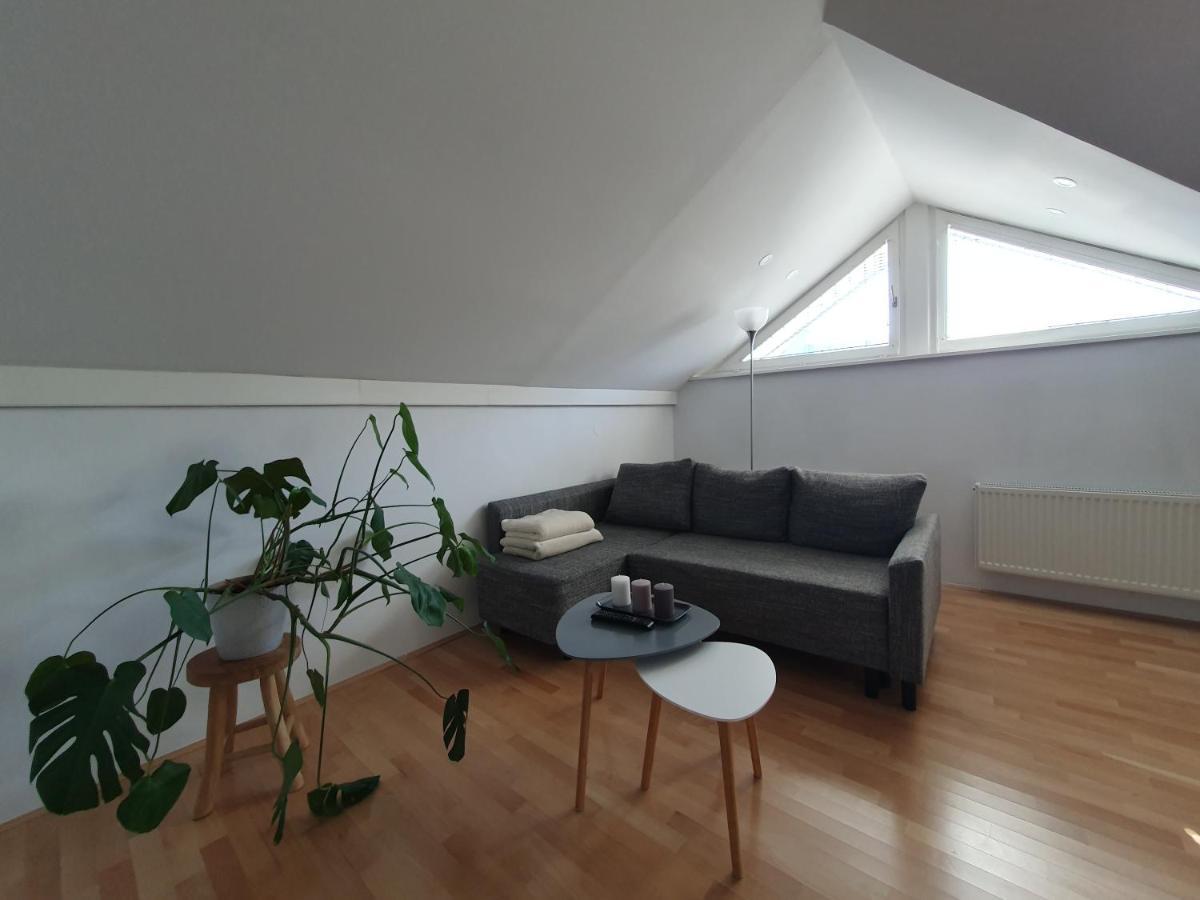 Charming Apartment Mila In Privat House With Free Parking Любляна Экстерьер фото