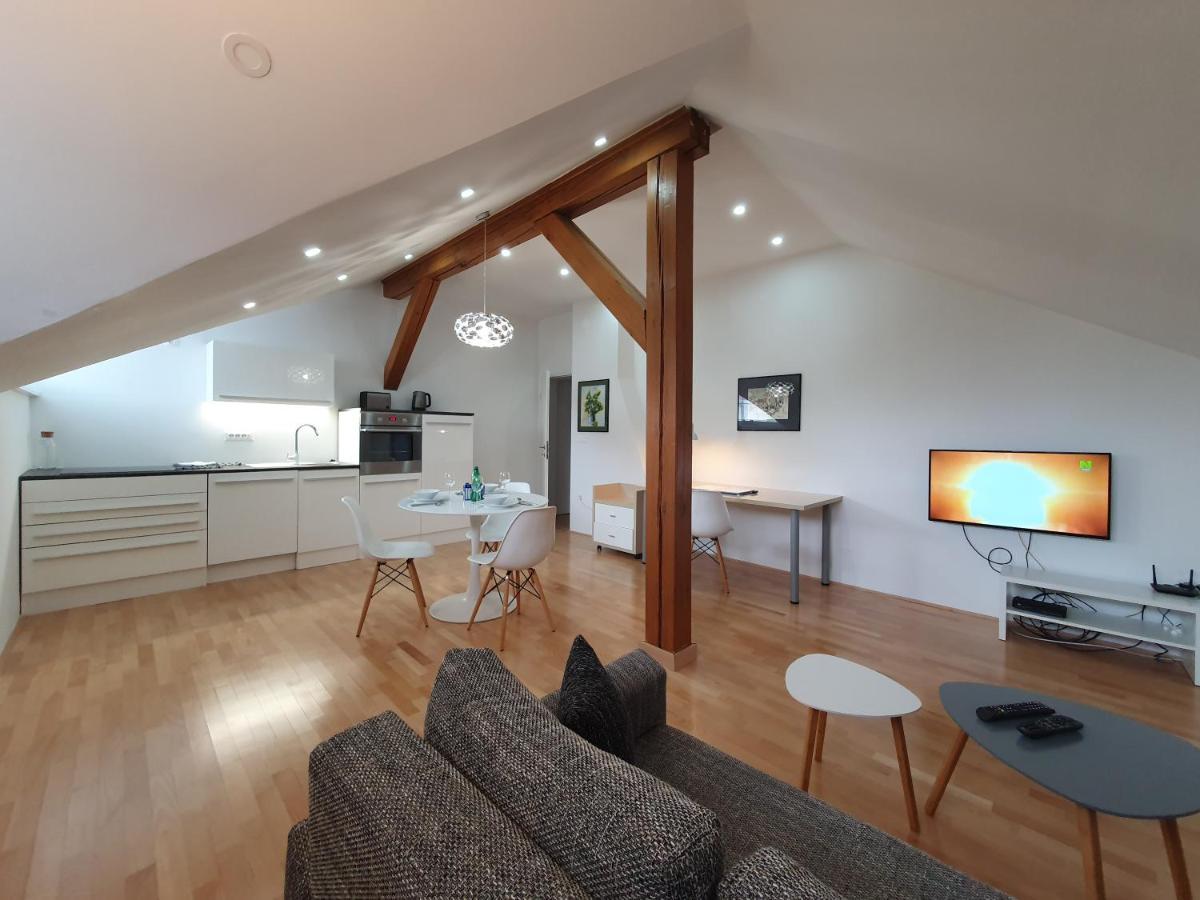 Charming Apartment Mila In Privat House With Free Parking Любляна Экстерьер фото