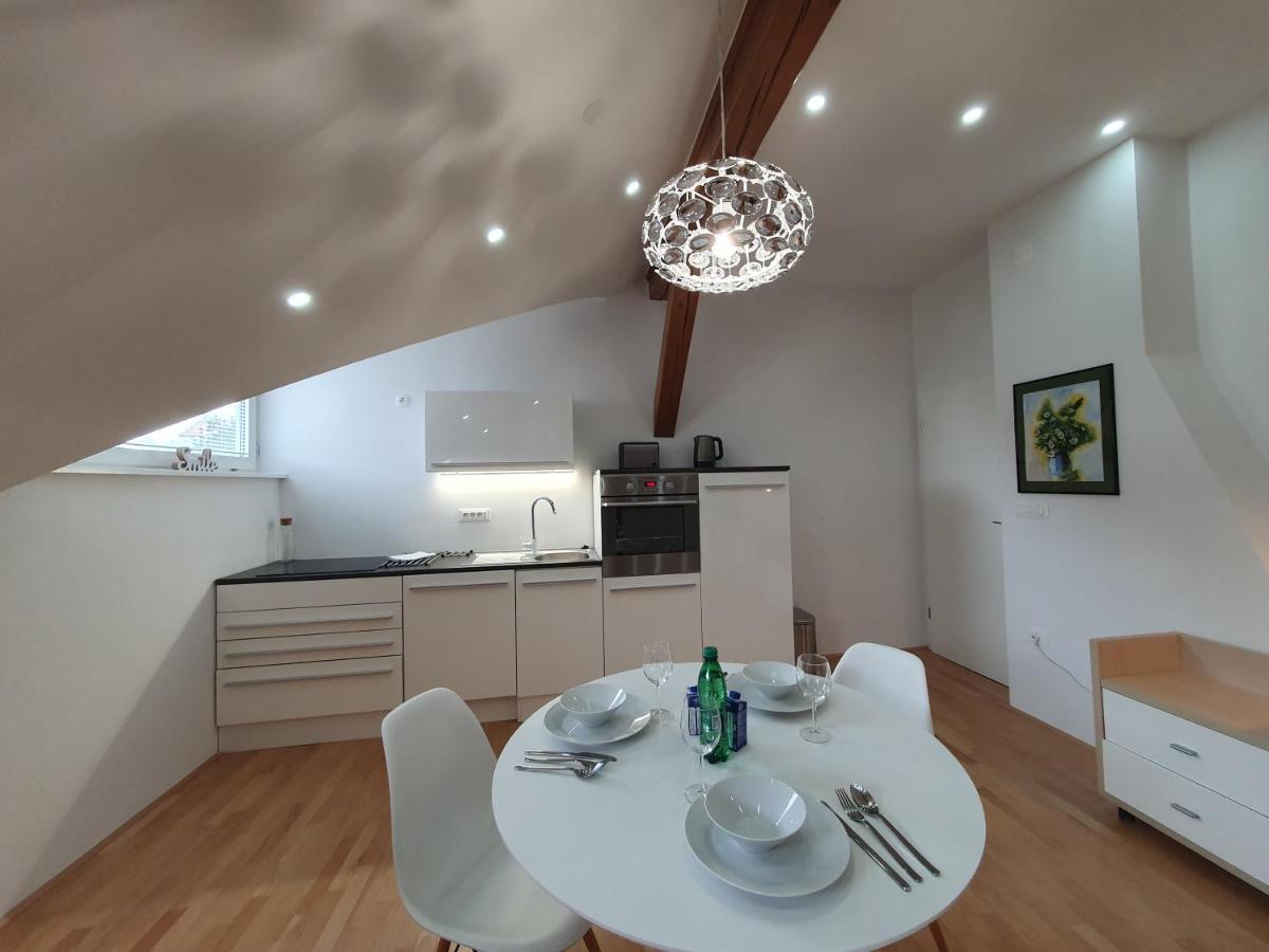 Charming Apartment Mila In Privat House With Free Parking Любляна Экстерьер фото