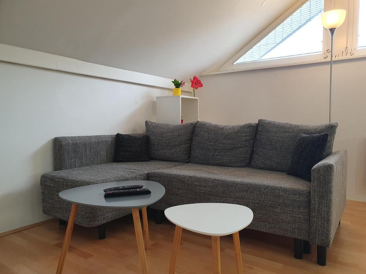 Charming Apartment Mila In Privat House With Free Parking Любляна Экстерьер фото