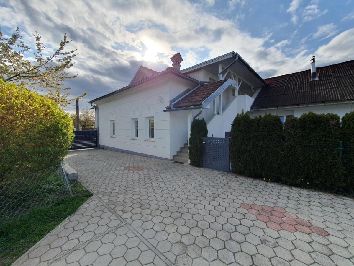 Charming Apartment Mila In Privat House With Free Parking Любляна Экстерьер фото